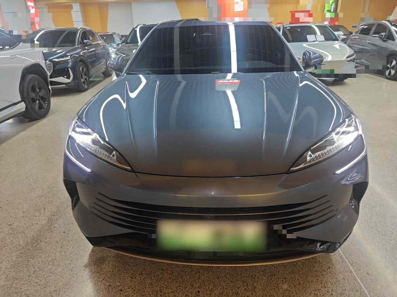 比亚迪 海豹 2023款 DM-i 1.5T 121km 尊荣型(1)