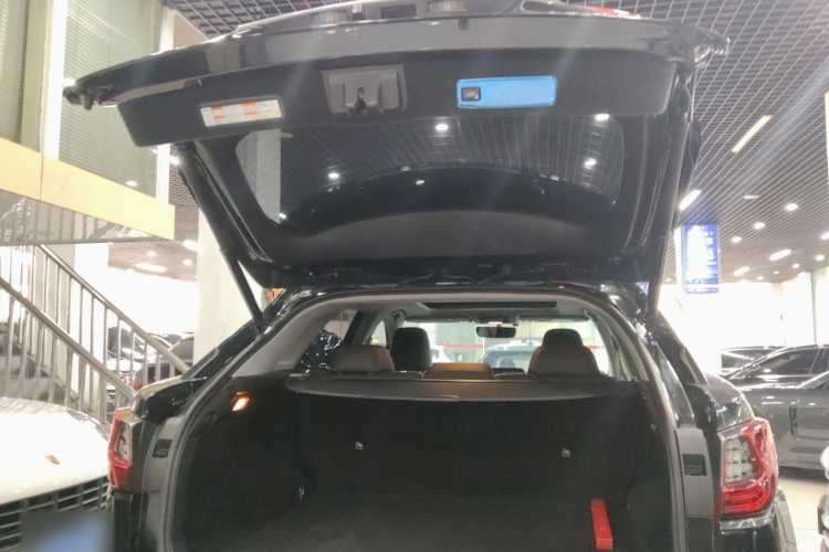 雷克萨斯RX 2020款 300 四驱典雅版 国VI机舱底盘23