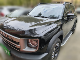 哈弗大狗 2024款 2.0T DCT中华田园犬版