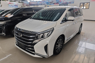 广汽传祺 传祺M8 2023款 领秀系列 390T 至尊版