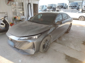 长安 逸达 2023款 蓝鲸NE 1.5T GDI DCT畅享版