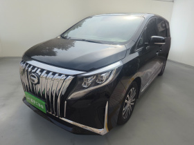 广汽传祺 传祺M8 2023款 领秀系列 390T 尊贵版