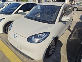 五菱汽车 五菱缤果 2023款 203km 轻享款