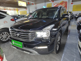 广汽传祺 传祺GS8 2017款 320T 两驱豪华智联版（七座）