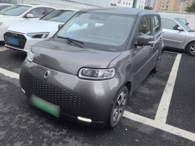 欧拉白猫 2020款 305km 豪华型