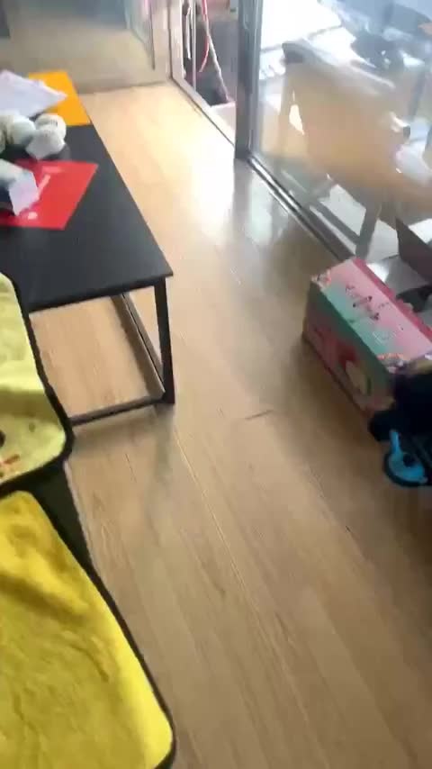 捷豹XFL 2024款 2.0T P250 两驱尊享豪华版讲解2