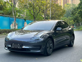 特斯拉 Model 3 2022款 后轮驱动版