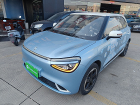 东风纳米 纳米01 2024款 430 Max智+