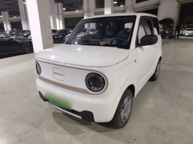 吉利银河 2023款 熊猫mini 200km 耐力熊