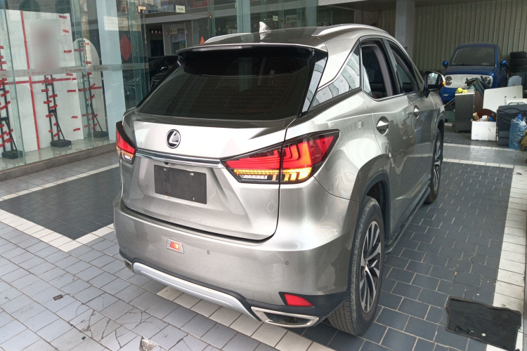 雷克萨斯RX 2020款 改款 300 两驱精英版车身外观7