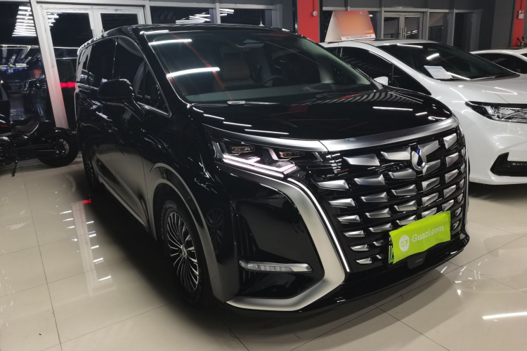 腾势D9 2024款 DM-i 980 四驱尊荣型车身外观3