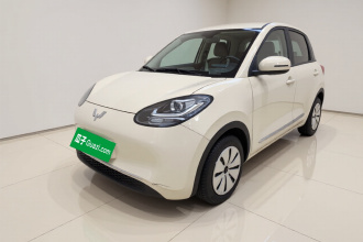 五菱汽车 五菱缤果 2023款 203km 轻享款