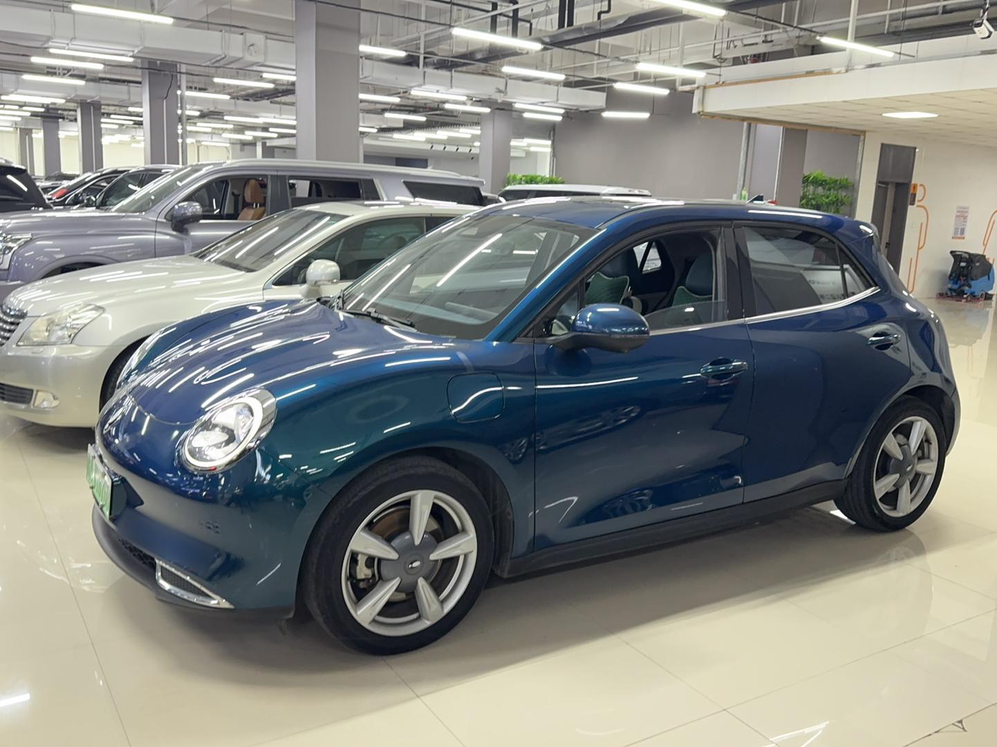 欧拉好猫 2021款 400km标准续航 维纳斯版 三元锂