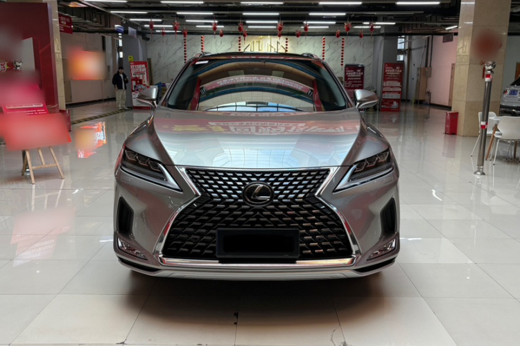 雷克萨斯RX 2020款 改款 300 四驱典雅版车身外观6004