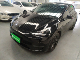 特斯拉 Model Y 2021款 长续航全轮驱动版 3D7