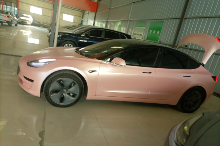 特斯拉 Model 3 2020款 标准续航后驱升级版车身外观6003