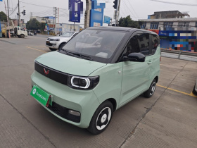 五菱汽车 宏光MINIEV 2021款 马卡龙时尚款 三元锂