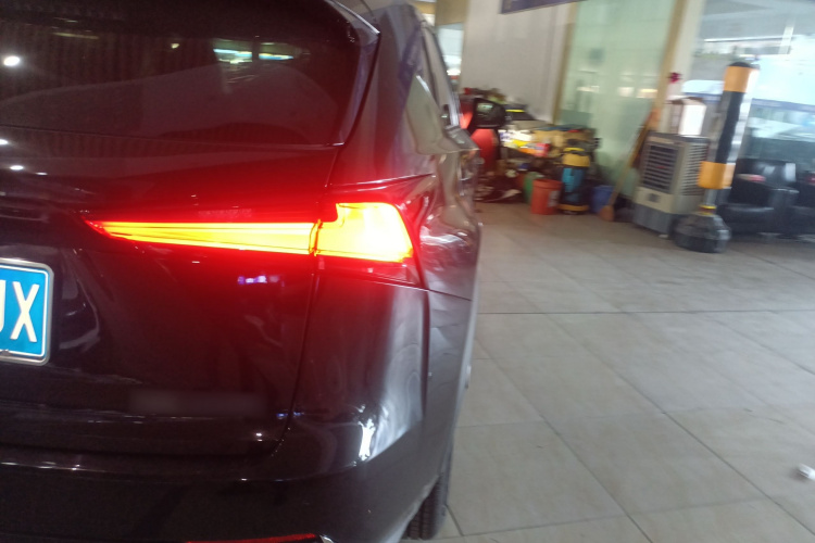 雷克萨斯NX 2020款 300h 前驱 锋尚版 国VI车身外观9