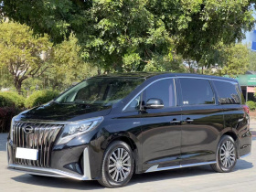 广汽传祺 传祺M8 2021款 大师系列 390T 尊贵版