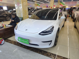 特斯拉 Model 3(进口) 2019款 标准续航后驱升级版(60度)