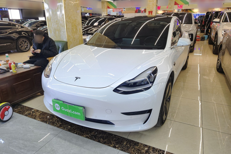特斯拉 Model 3(进口) 2019款 标准续航后驱升级版(60度)车身外观1