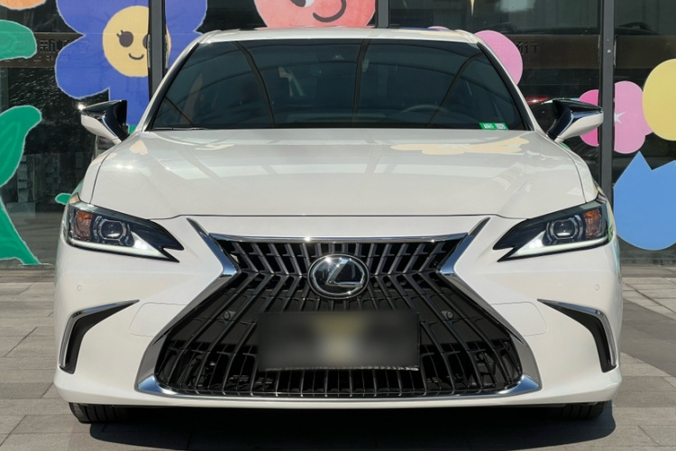 雷克萨斯ES 2022款 200 卓越版车身外观6004