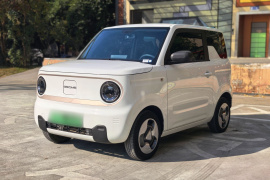 吉利银河 2023款 熊猫mini 200km 耐力熊