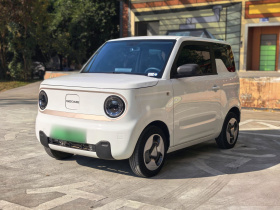 吉利银河 2023款 熊猫mini 200km 耐力熊