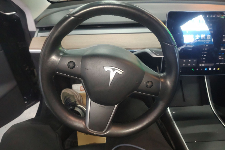 特斯拉 Model 3(进口) 2019款 长续航后驱版局部细节13