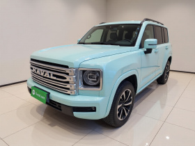 哈弗H9 2024款 2.0T 汽油四驱极境版