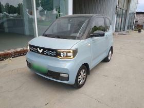 五菱汽车 宏光MINIEV 2020款 自在款 磷酸铁锂