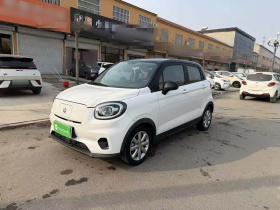 零跑汽车 零跑T03 2022款 皓玉版