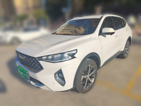 哈弗F7 2019款 1.5T 两驱i潮 国VI
