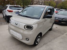 五菱汽车 宏光MINIEV 2024款 第三代 215km 青春版