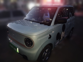 吉利银河 2024款 熊猫mini 200km 耐力熊