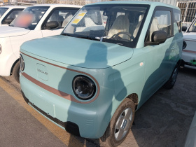 吉利银河 2024款 熊猫mini 200km 耐力熊