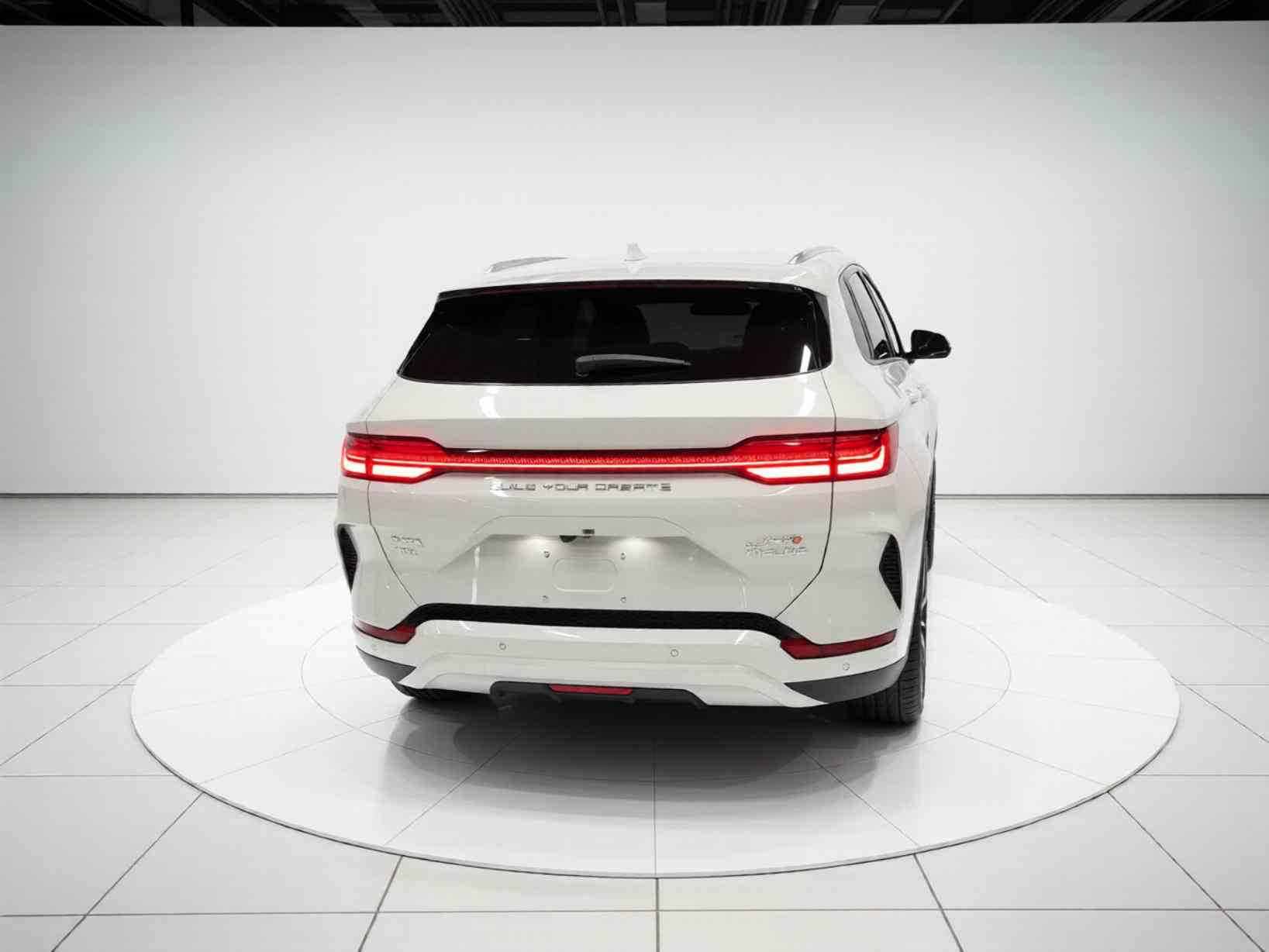 比亚迪 宋PLUS新能源 2024款 荣耀版 DM-i 110km 旗舰PLUS(4)