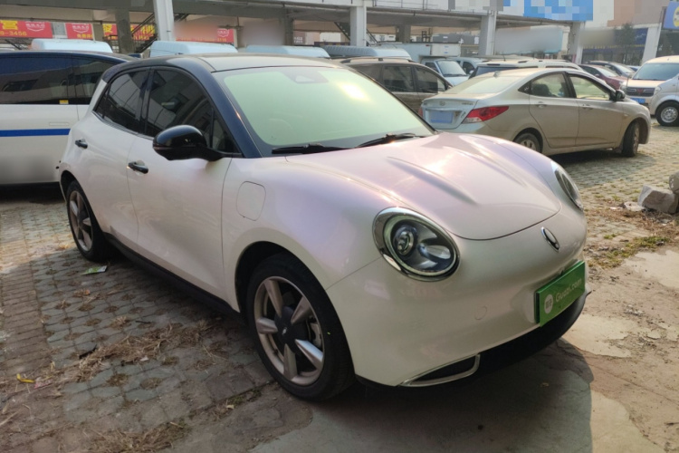 欧拉好猫 2021款 400km标准续航 维纳斯版 三元锂车身外观6002