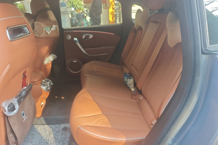 欧拉闪电猫 2022款 555km 尊贵版中控内饰21