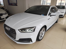 奥迪A5 2019款 Sportback 40 TFSI 时尚型