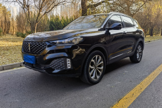 魏牌 VV6 2020款 2.0T 两驱智护+