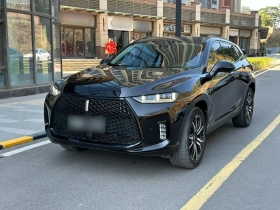 魏牌 P8 2018款 2.0T 尊享型