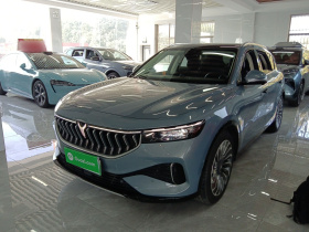 岚图汽车 岚图FREE 2021款 四驱纯电首发纪念版专属豪华套装