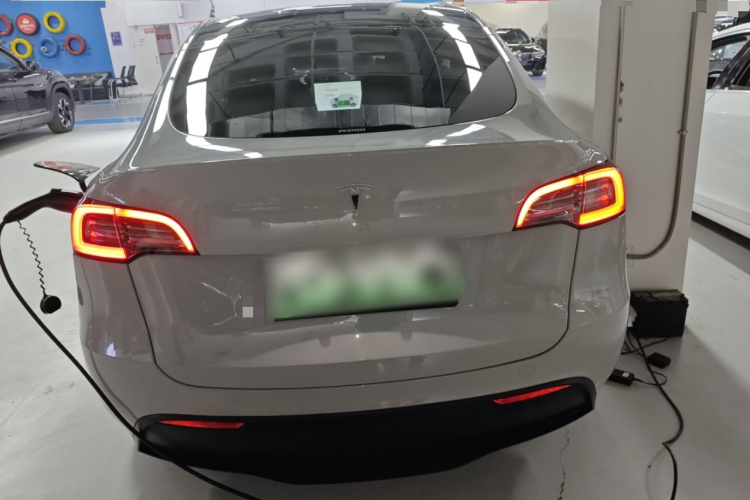 特斯拉 Model Y 2021款 标准续航后驱版车身外观6004