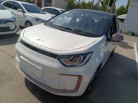 江淮钇为 钇为花仙子 2024款 挚爱版 301km Lite