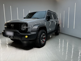 坦克300 2021款 越野版 2.0T 征服者