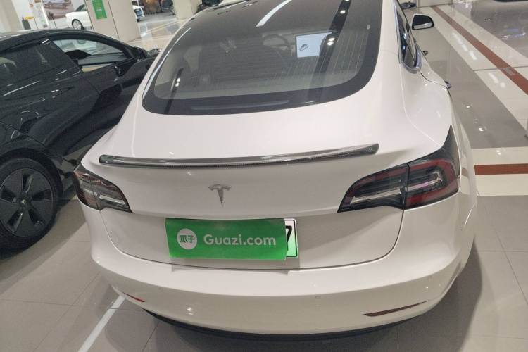 特斯拉 Model 3(进口) 2019款 长续航后驱版车身外观6