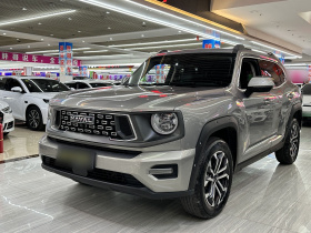 哈弗大狗 PLUS 2023款 1.5T 两驱潮野版Plus