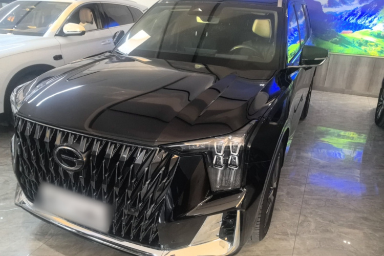 广汽传祺 传祺GS8 2022款 双擎系列 2.0TM 四驱尊贵版 （七座）车身外观6001