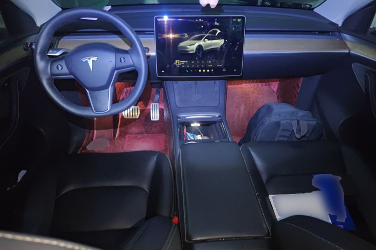 特斯拉 Model Y 2022款 Performance高性能全轮驱动版中控内饰12